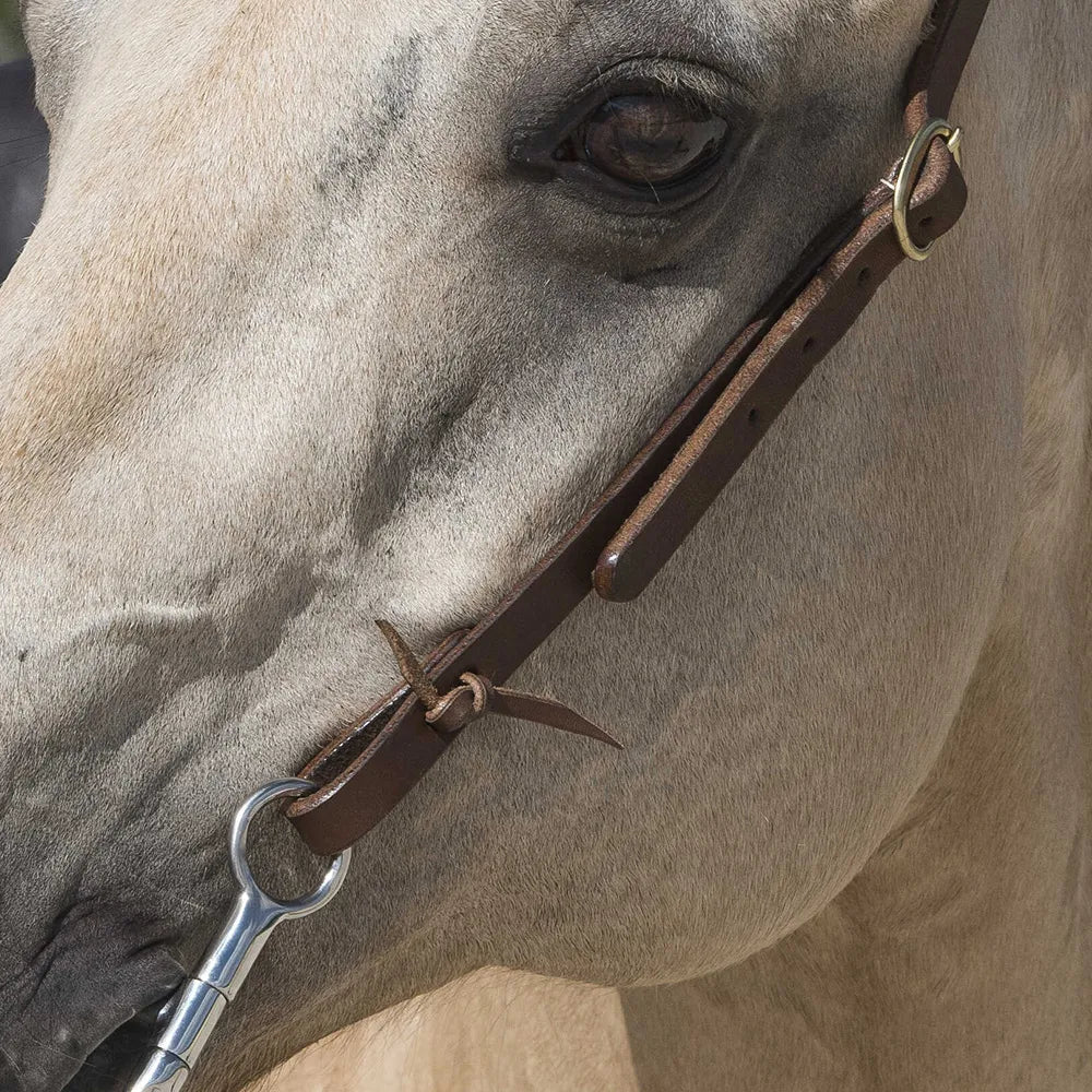WESTRIDE – Bridle by Franck Perret – 1 Ear