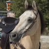WESTRIDE – Bridle by Franck Perret – 1 Ear