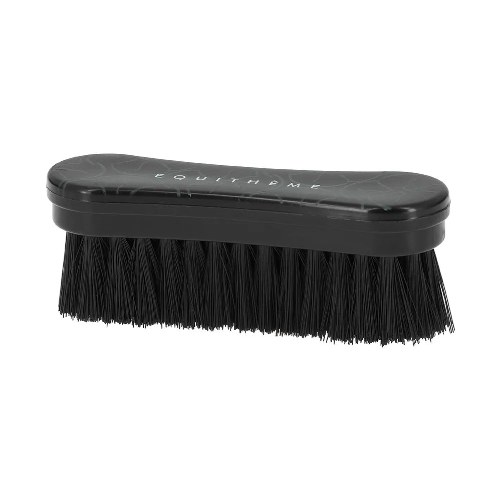 EQUITHÈME – Studies Face Brush