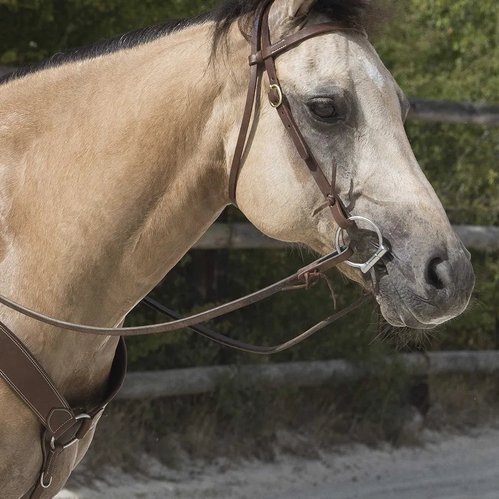 WESTRIDE – Bridle by Franck Perret – Colorado