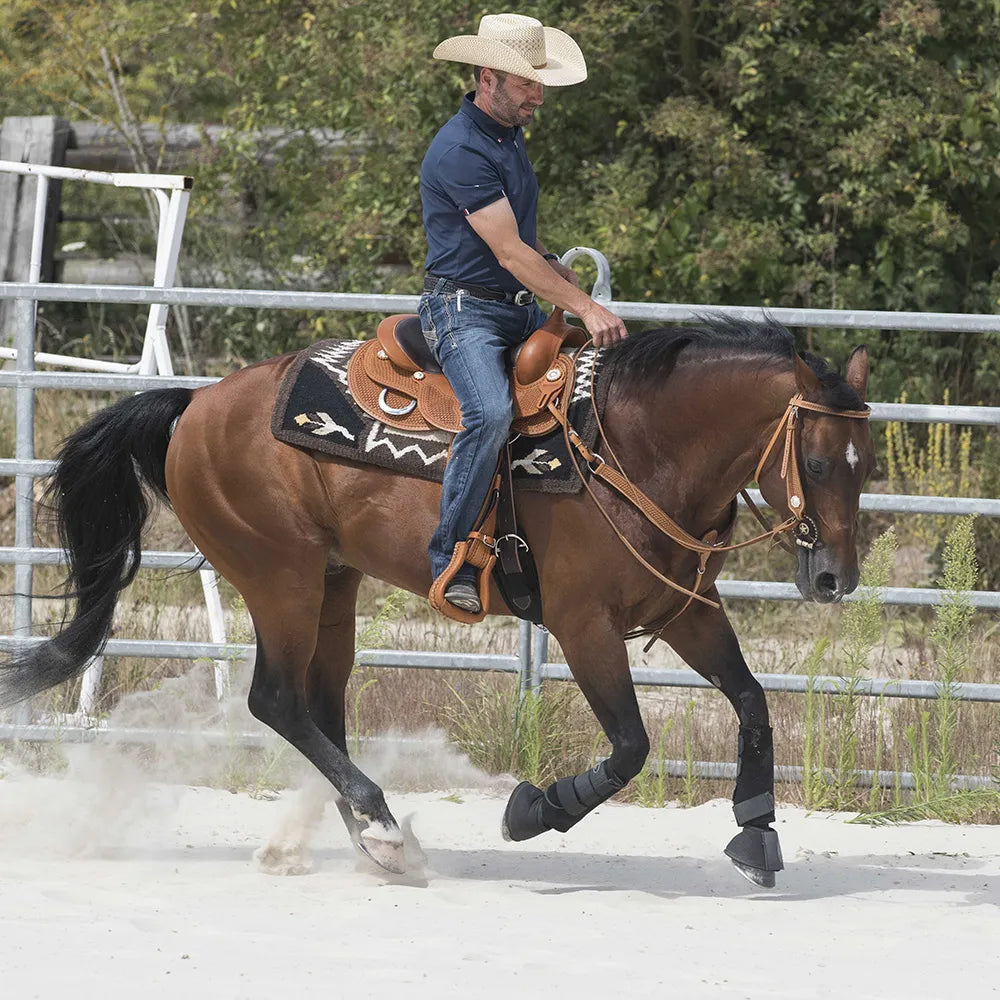 WESTRIDE – Saddle by Franck Perret – Aurora