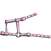 Norton Adjustable Foal Headcollar