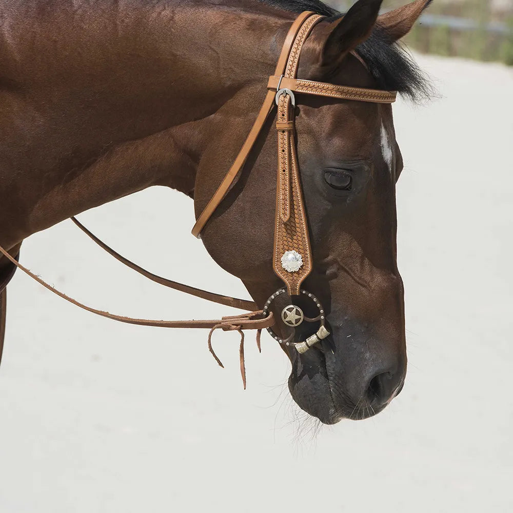 WESTRIDE – Bridle by Franck Perret – Aurora