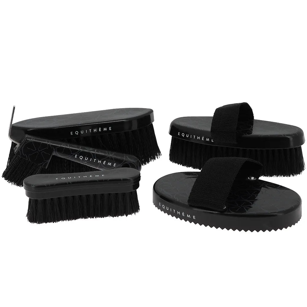 EQUITHÈME – Studies Body Brush