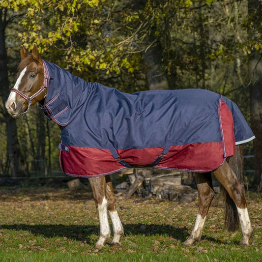 EQUITHÈME Tyrex 1200 D Combo Turnout Rug
