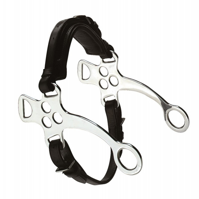 Feeling Hackamore Cheeks