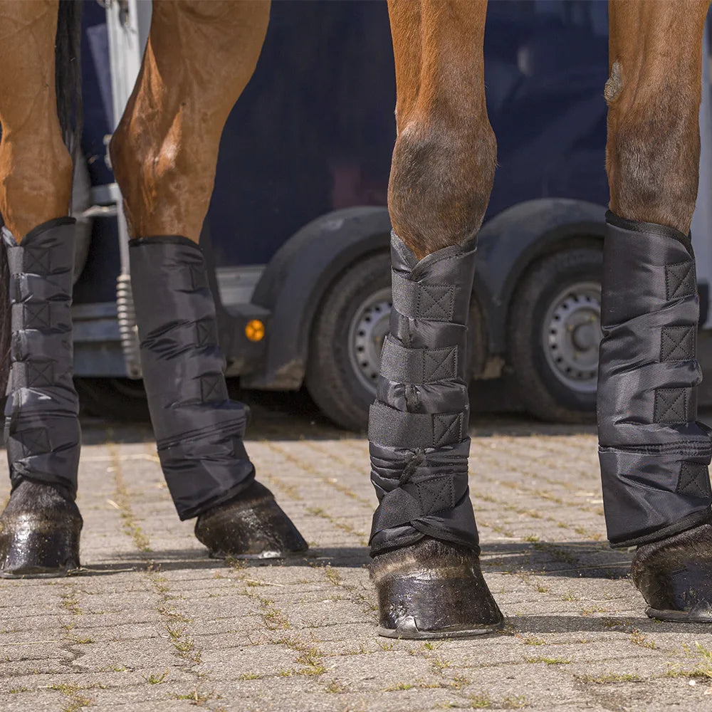 RIDING WORLD Low Shipping Boots