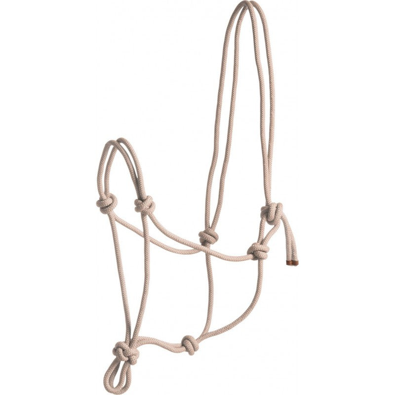 Norton First Rope Headcollar