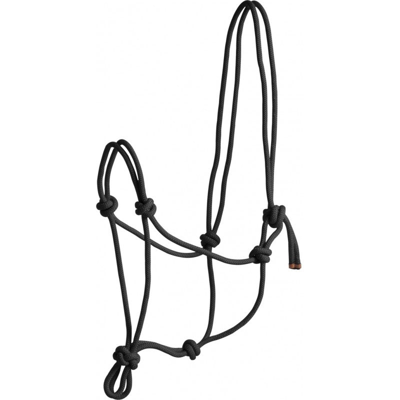 Norton First Rope Headcollar