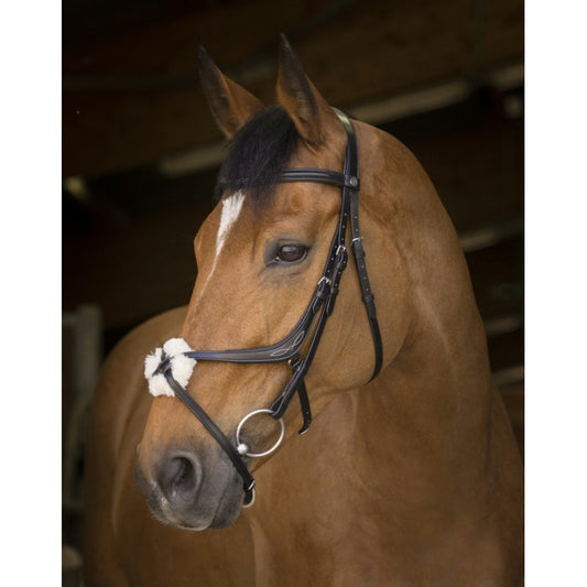 Norton Pro Crossed Noseband Bridle