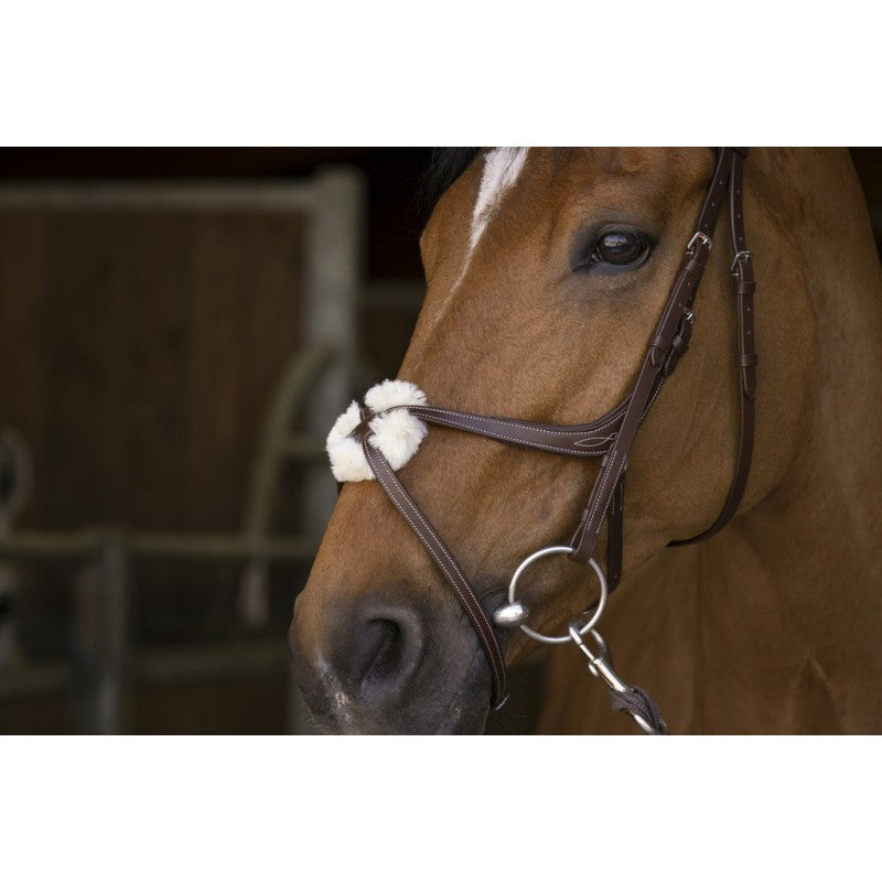 Norton Pro Crossed Noseband Bridle