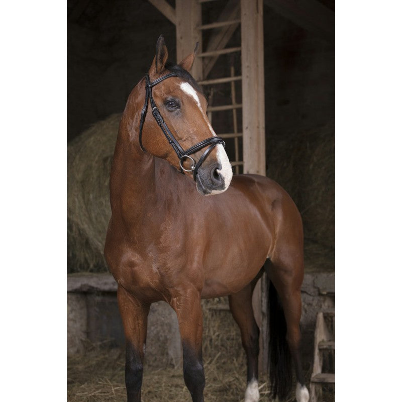 Norton Pro Fin Bridle