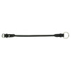 Norton Pro Gag Strap