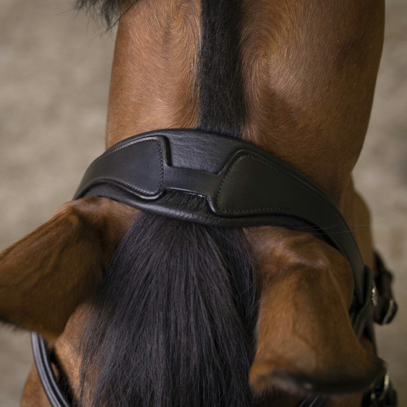 Norton Pro Rock Bridle