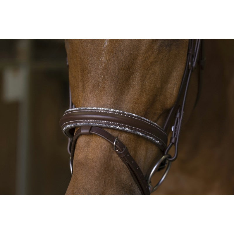 Norton Pro Rock Bridle