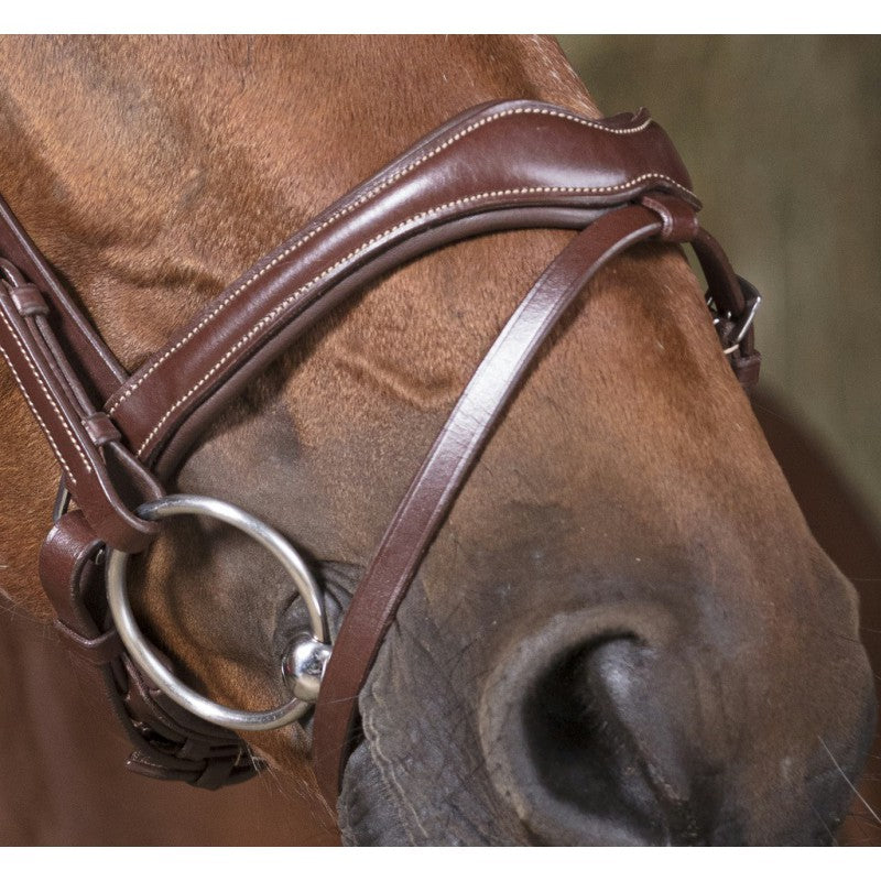 Norton Pro Vague Bridle