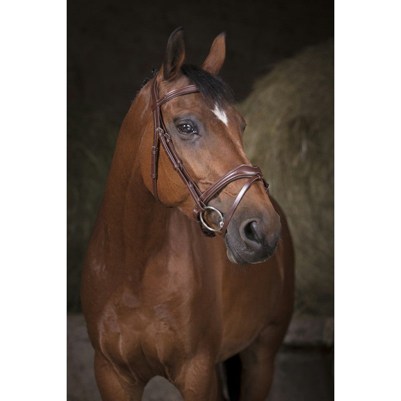 Norton Pro Vague Bridle