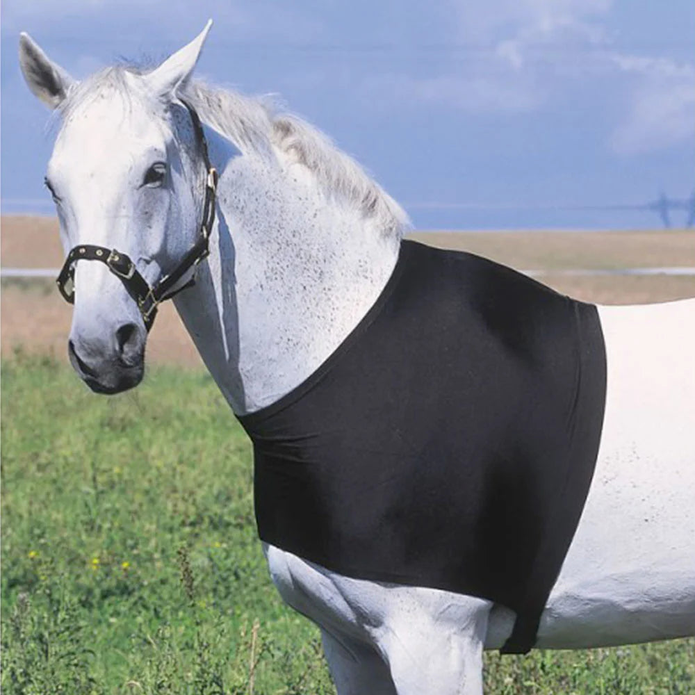 EQUITHÈME Shoulder Protection