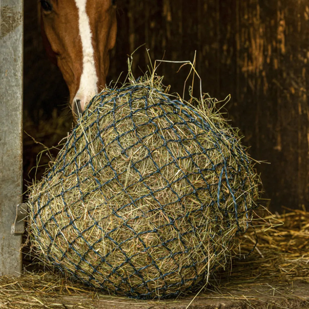 HIPPOTONIC Zari Hay Net